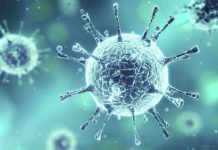 Koronavirüs ile İlgili Doğru Bilinen Yanlışlar Koronavirüs ile İlgili Doğru Bilinen Yanlışlar