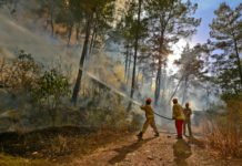 Afrika Sıcakları Başladı, Orman Yangınlarına Dikkat Afrika Sicaklari Basladi
