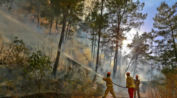 Afrika Sıcakları Başladı, Orman Yangınlarına Dikkat Afrika Sicaklari Basladi