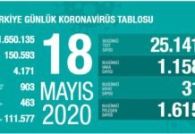 Corona Türkiye tablosu Güncellemeye Devam Ediyor, 18 Mayıs 2020 korona tablosu 18 mayis