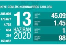 Corona Türkiye Tablosu Güncellemeye Devam Ediyor, 13 Haziran 2020 covid_19 turkiye tablosu