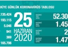 Corona Türkiye Tablosu Güncellemeye Devam Ediyor, 25 Haziran 2020 covid_19 turkiye tablosu