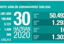 Corona Türkiye Tablosu Güncellemeye Devam Ediyor, 30 Haziran 2020 covid_19 turkiye tablosu