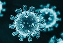 İtalyan Bilim İnsanları, COVID-19 Virüsünü Yok Eden Formülü Açıkladı! İtalyan Bilim İnsanları, COVID-19