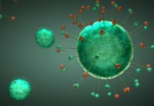 Koronadan Sonra “BİZ”e Neler Olacak? Koronadan Sonra “BİZ”e Neler Olacak?