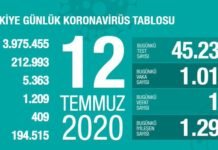 Corona Türkiye Tablosu Güncellemeye Devam Ediyor, 12 Temmuz 2020 covid_19 turkiye tablosu