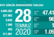 Corona Türkiye Tablosu Güncellemeye Devam Ediyor, 28 Temmuz 2020 covid_19 turkiye tablosu
