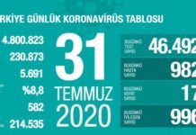 Corona Türkiye Tablosu Güncellemeye Devam Ediyor, 31 Temmuz 2020 covid_19 turkiye tablosu