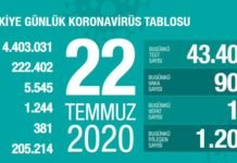 Corona Türkiye Tablosu Güncellemeye Devam Ediyor, 22 Temmuz 2020 turkiye covid_19 tablosu