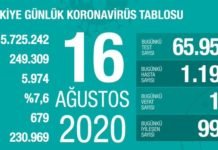 Corona Türkiye Tablosu Güncellemeye Devam Ediyor, 16 Ağustos 2020 covid_19 turkiye tablosu 1