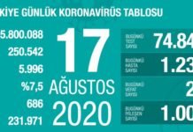 Corona Türkiye Tablosu Güncellemeye Devam Ediyor, 17 Ağustos 2020 covid_19 turkiye tablosu 1