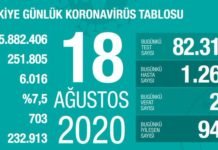 Corona Türkiye Tablosu Güncellemeye Devam Ediyor, 18 Ağustos 2020 covid_19 turkiye tablosu 1