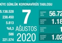 Corona Türkiye Tablosu Güncellemeye Devam Ediyor, 07 Ağustos 2020 covid_19 turkiye tablosu1