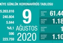 Corona Türkiye Tablosu Güncellemeye Devam Ediyor, 09 Ağustos 2020 covid_19 turkiye tablosu1