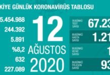Corona Türkiye Tablosu Güncellemeye Devam Ediyor, 12 Ağustos 2020 covid_19 turkiye tablosu1