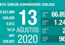 Corona Türkiye Tablosu Güncellemeye Devam Ediyor, 13 Ağustos 2020 covid_19 turkiye tablosu1
