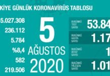 Corona Türkiye Tablosu Güncellemeye Devam Ediyor, 05 Ağustos 2020 covid_19 turkiye tablosu2