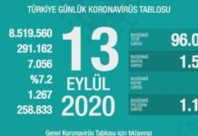 Corona Türkiye Tablosu Güncellemeye Devam Ediyor, 13 Eylül 2020