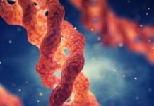 Cildin Büyük Düşmanı Kolajen Eksikliği