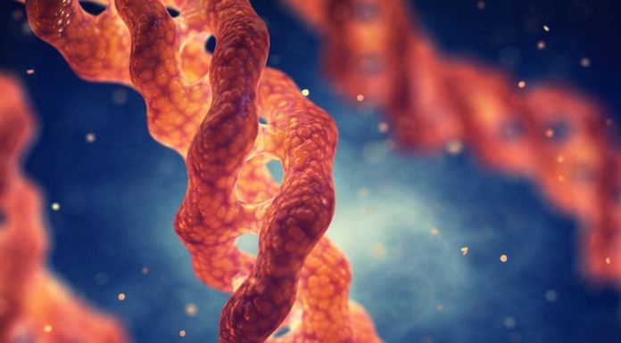 Cildin Büyük Düşmanı Kolajen Eksikliği