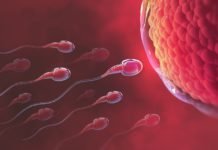 Uzmanından Sperm Sayısını Artıran 8 Önemli Besin Uzmanindan Sperm Sayisini Artiran 8 onemli Besin