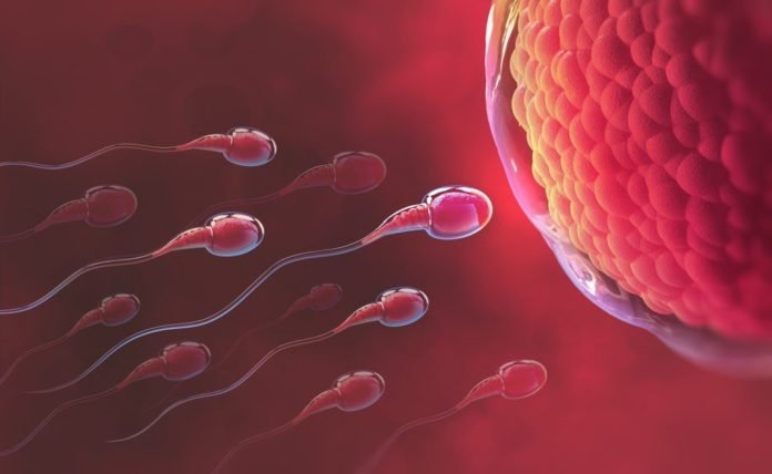 Uzmanindan Sperm Sayisini Artiran 8 onemli Besin