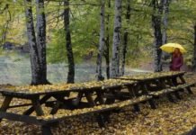 Bolu Abant Sonbahar Renkleriyle Misafirlerini Bekliyor