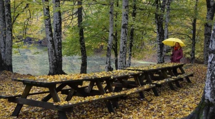 Bolu Abant Sonbahar Renkleriyle Misafirlerini Bekliyor