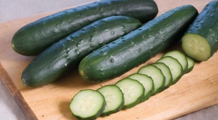 Salatalık Diyeti Nasıl Yapılır? Salatalık Diyeti İle Nasıl Zayıflanır?