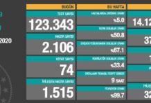 Corona Türkiye Tablosu Güncellemeye Devam Ediyor, 1 Kasım 2020