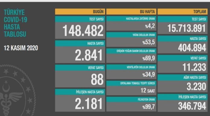 Corona Türkiye Tablosu Güncellemeye Devam Ediyor, 12 Kasım 2020