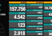 Corona Türkiye Tablosu Güncellemeye Devam Ediyor, 19 Kasım 2020