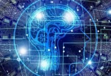 Bilim İnsanlarından Çığır Açıcı Çalışma: Beyin “Işınlama” Bilim insanlarindancigir acici calisma Beyin isinlama