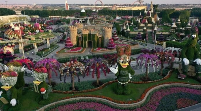 Dünyanın En Büyük Çiçek Bahçesi Dubai’de Açıldı