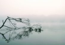 İklim Değişikliği Yeni Tehlikelere Kapı Aralıyor