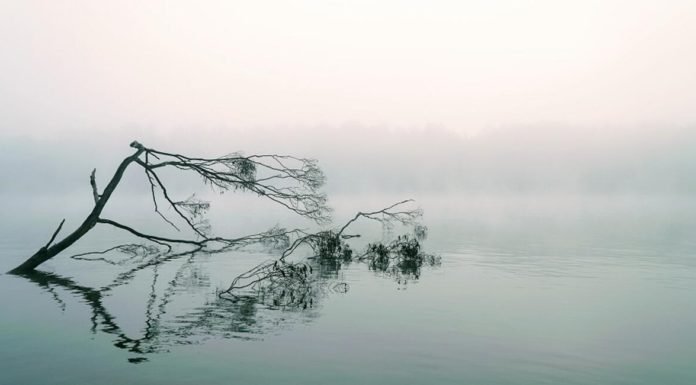İklim Değişikliği Yeni Tehlikelere Kapı Aralıyor
