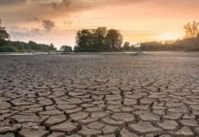 WWF Uyardı: Dünyayı Büyük Bir Su Sıkıntısı Bekliyor