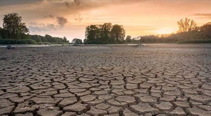 WWF Uyardı: Dünyayı Büyük Bir Su Sıkıntısı Bekliyor