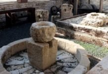 Zeytin ve Zeytinyağı Müzesi Ziyaretçilerini Zaman Yolculuğuna Çıkarıyor