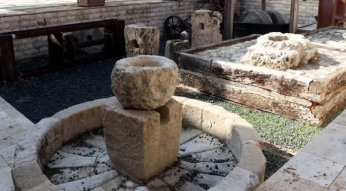 Zeytin ve Zeytinyağı Müzesi Ziyaretçilerini Zaman Yolculuğuna Çıkarıyor