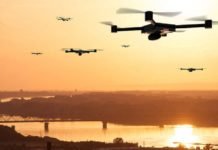 İnsansız Hava Aracı İle Yaban Hayatı Envanteri Gerçekleştirildi