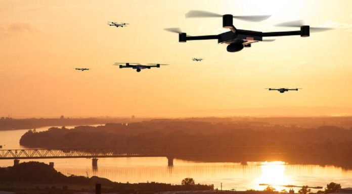 İnsansız Hava Aracı İle Yaban Hayatı Envanteri Gerçekleştirildi