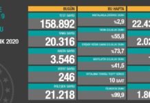 Corona Türkiye Tablosu Güncellemeye Devam Ediyor, 20 Aralık 2020