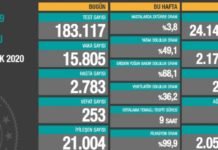 Corona Türkiye Tablosu Güncellemeye Devam Ediyor, 29 Aralık 2020