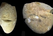 İnsanlığın Kullandığı En Eski Alet Bulundu