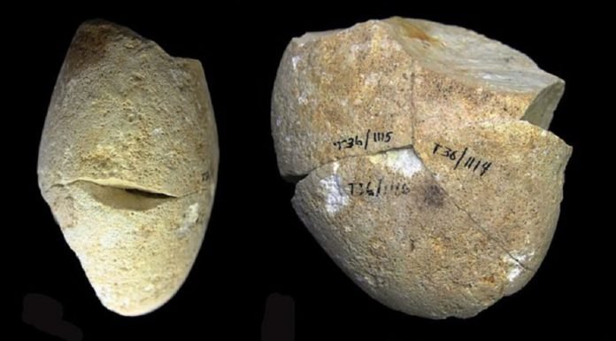 İnsanlığın Kullandığı En Eski Alet Bulundu