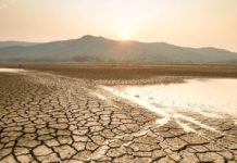 ‘Dünyada Önümüzdeki Yıllarda Kuraklık Artacak’