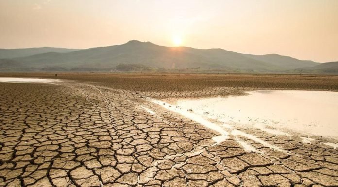 ‘Dünyada Önümüzdeki Yıllarda Kuraklık Artacak’