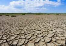 NASA’dan Türkiye İle İlgili Kaygılandıran Kuraklık Haritası! NASA’dan Türkiye İle İlgili Kaygılandıran Kuraklık Haritası!