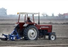 Çukurova’da Erkenci Karpuz Toprakla Buluştu